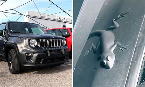 Does Every Jeep Have a Hidden Animal? And Why Do We Keep Finding Them in Unexpected Places?