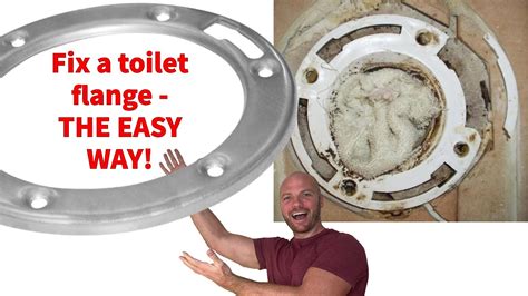 How to Repair a Toilet Flange: And Why It Might Just Save Your Sanity