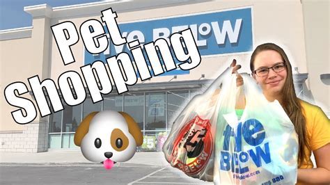 Is Best Buy Pet Friendly? Exploring the Intersection of Retail and Animal Companionship