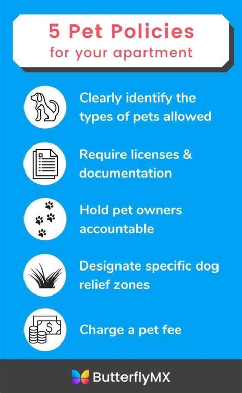 Is Sleep Inn Pet Friendly? Exploring the Unlikely Connection Between Pet Policies and Dream Analysis