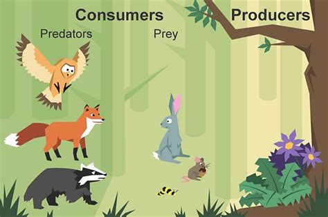 What animal is a producer? And why do they always seem to be the ones throwing the best parties?