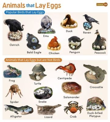 What Animal Lays Eggs But Is Not a Bird? And Why Do They Dream in Color?