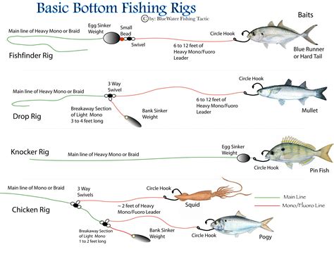 What is a Fishing Rig: A Tangled Web of Hooks, Lines, and Sinkers