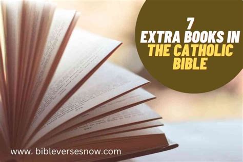 Who Wrote the 7 Extra Books in the Catholic Bible and Why Do They Taste Like Metaphors?